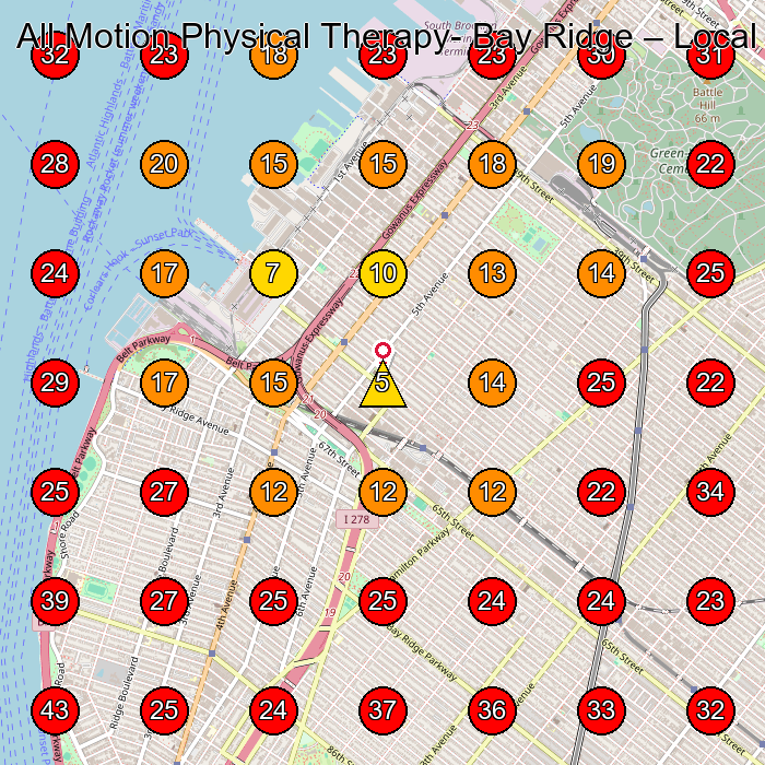 All Motion Physical Therapy- Bay Ridge GeoGrid visibility map for Pilates Studio in Brooklyn